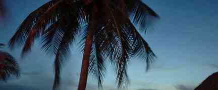 Avondzonnetje in Willemstad